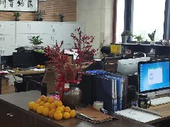 公司环境