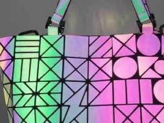 BAGS1